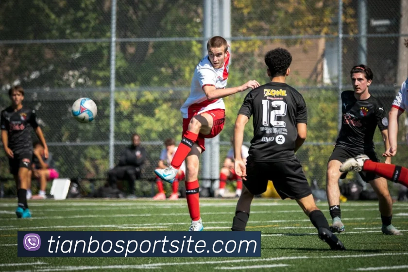 天博体育平台生态图