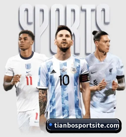 每个板块围绕一个运动项目展开 - 多运动项目内容板块 | TianBoSports